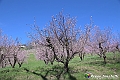 VBS_8810- Risvegli